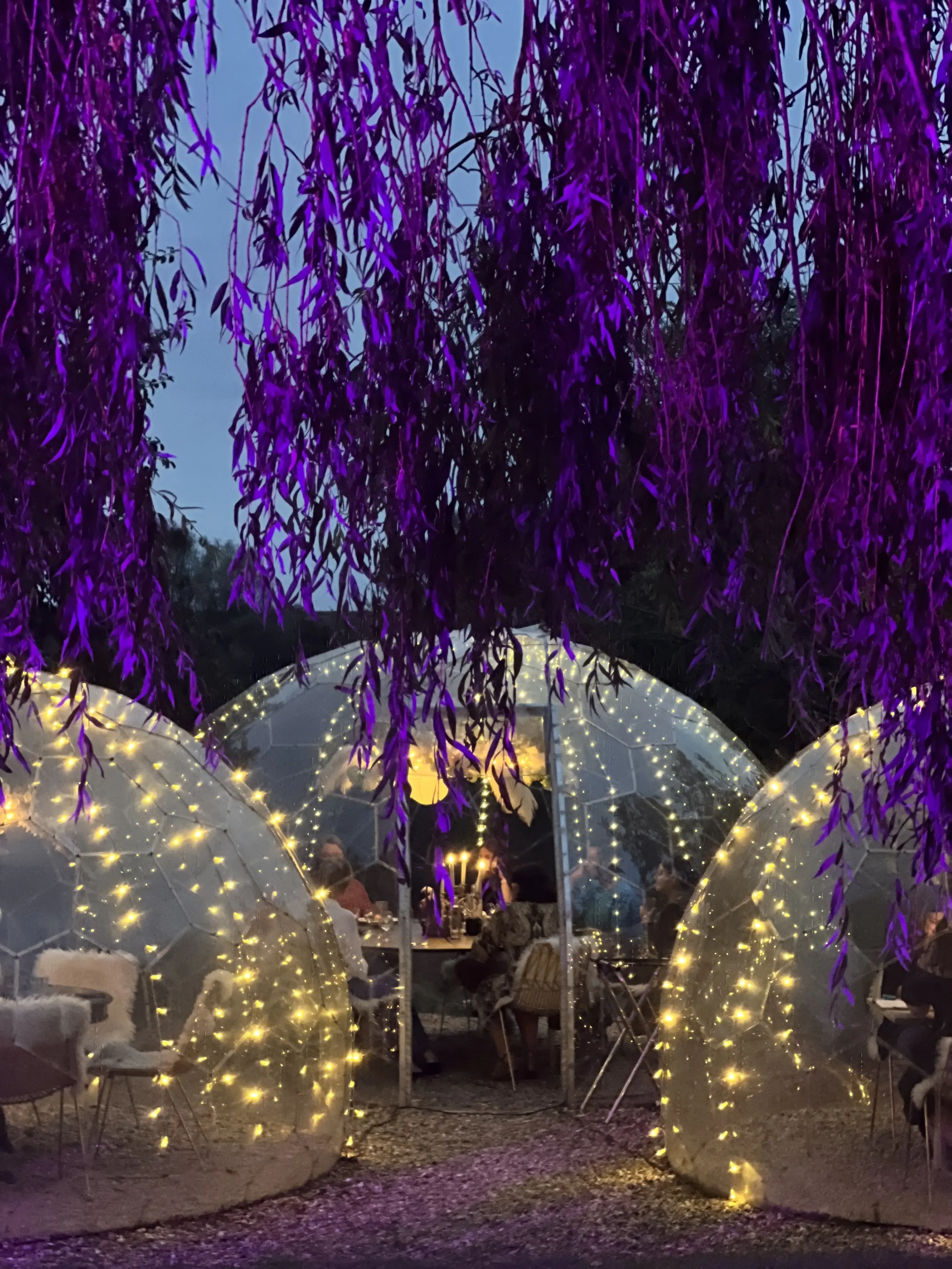 Dome dining by day